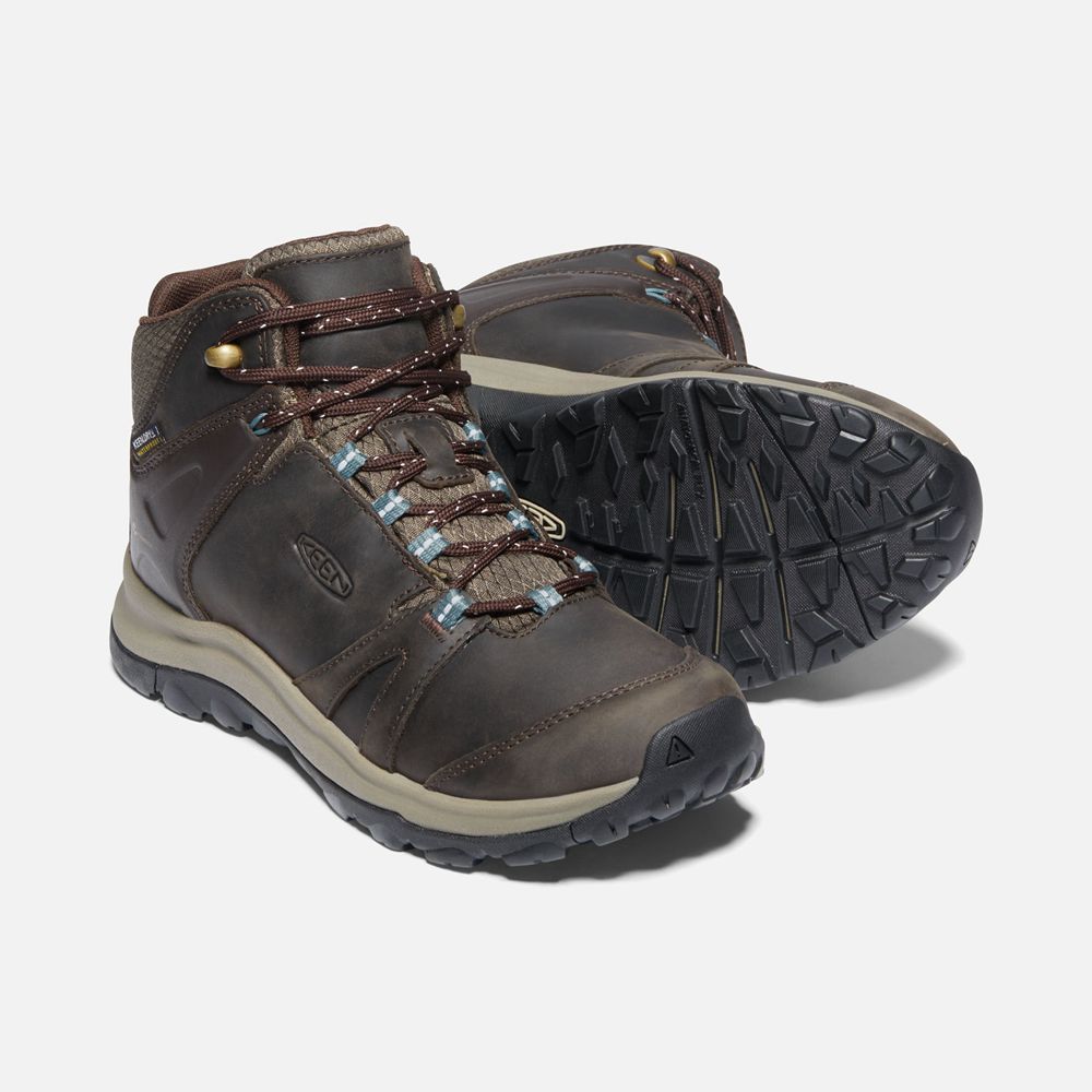 Bottes de Randonnée Keen Femme Marron | Terradora Ii Cuir Waterproof | MIQDG-8312